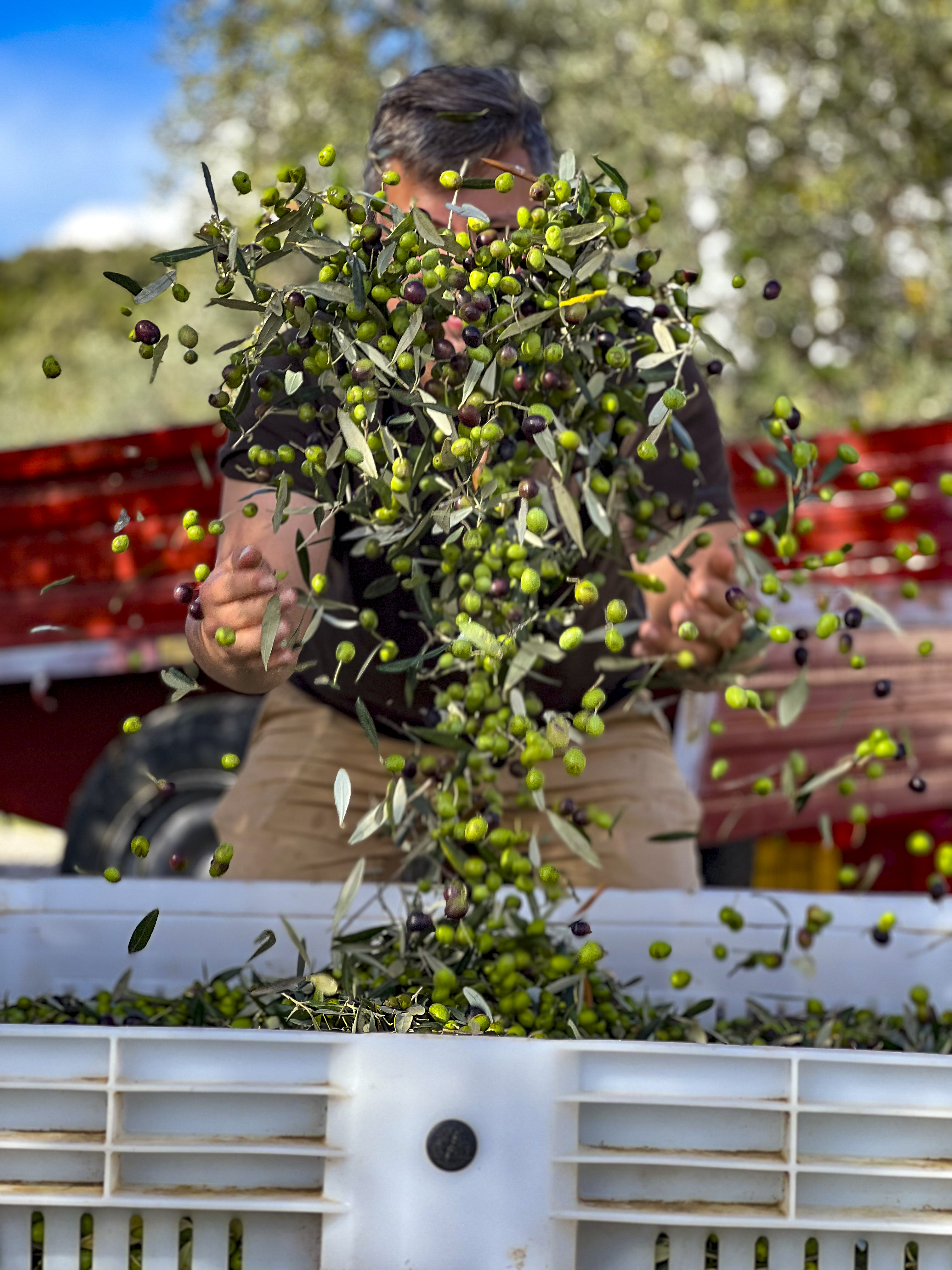 Toscana Impression 14